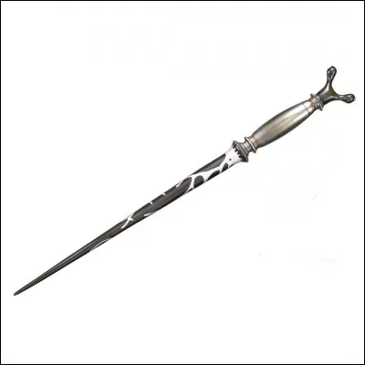 &Agrave; qui appartient cette baguette ?