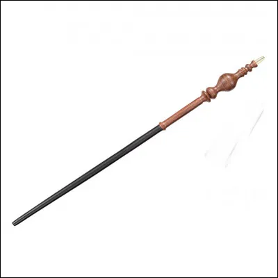 &Agrave; qui appartient cette baguette ?