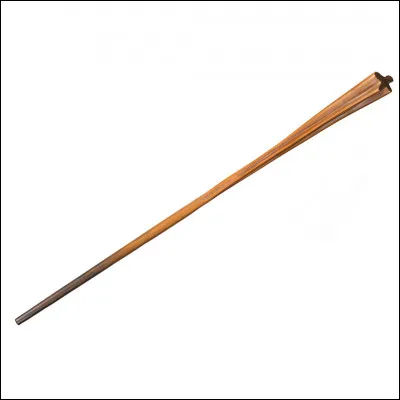 &Agrave; qui appartient cette baguette ?