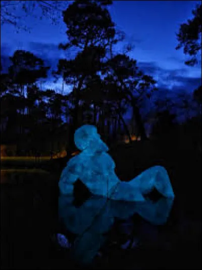 Où en France peut-on admirer cette magnifique oeuvre de l'artiste de Marine Julié "hello apollo" ?