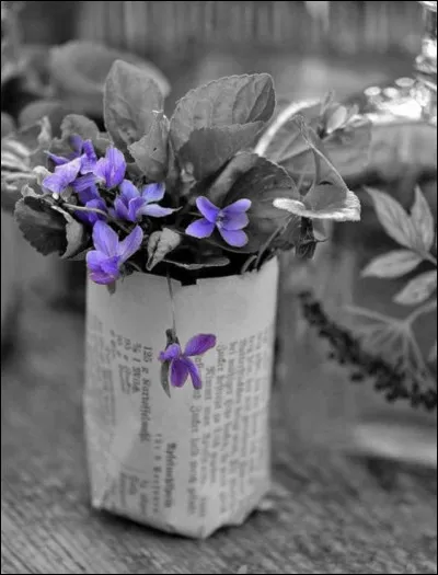 Si vous traduisez cette fleur en espagnol, vous trouverez l'héroïne d'une série télévisée très aimée du jeune public, interprétée par l'actrice :