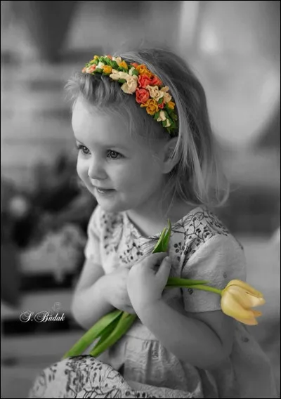 On cherche la tulipe d'Alexandre Dumas !