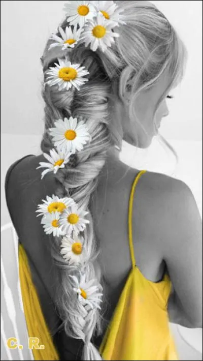 Il chantait "Si vous allez à San Francisco, vous les verrez des fleurs dans les cheveux..." :