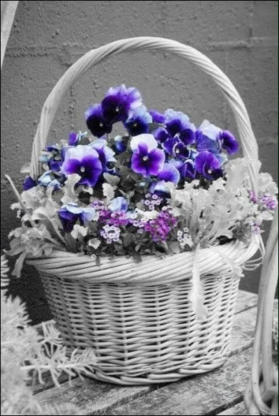 À quel auteur doit-on l'homonyme de ces fleurs ?