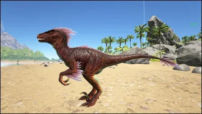 Quelle est la vitesse d'un raptor ?