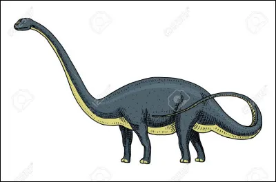 Quelle est la taille d'un brontosaurus ?