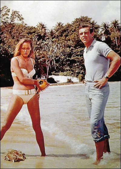 Au Japon, quel nom porte le théâtre du drame lyrique et raffiné ?