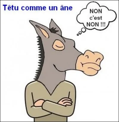 Êtes-vous têtu(e) ?