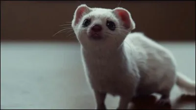 Comment s'appelle le dæmon de Lira ?