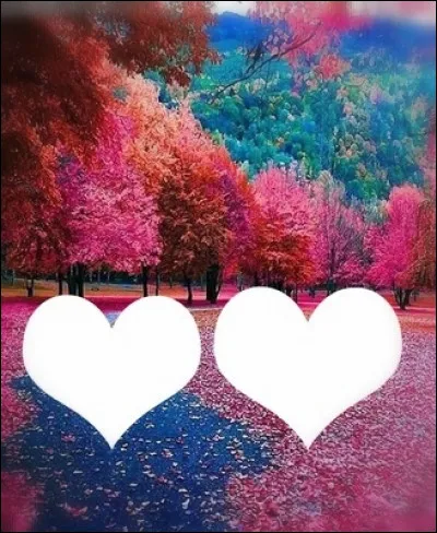 Que vois-tu sur cette photo ?