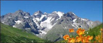 Que vois-tu sur cette photo ?