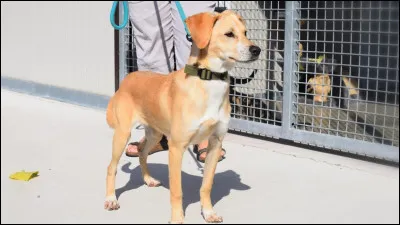 Que vois-tu sur cette photo ?