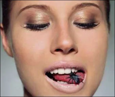 ''Je suis une mouche posée sur sa bouche, elle était nue on aurait cru le paradis, tant elle était jolie.'' Qui est l'auteur de ces paroles ?