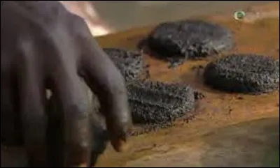 Le gâteau de mouches, confectionné à base de mouches est un plat de quel continent ?