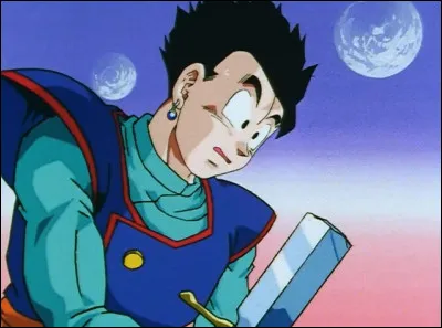 Quel est le nom de l'épée que Gohan casse lors de son entraînement avec le Kaïo du sud ?