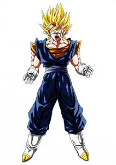 Quel est le nom des boucles d'oreilles que portent Vegeta et Goku pour fusionner en Vegeto ?