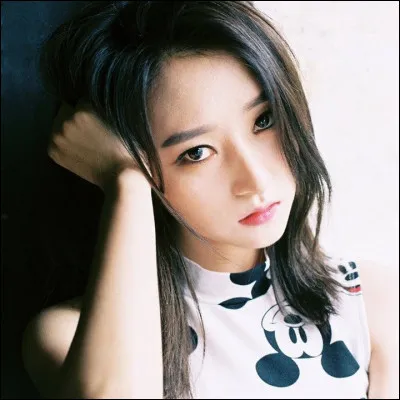 Sua fait partie des...