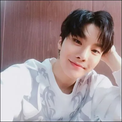 Lex fait partie des...