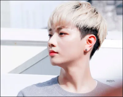 Kiwon fait partie des...