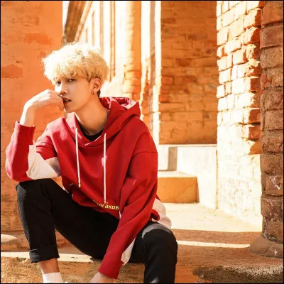 Roda fait partie des...