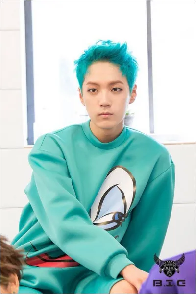 Minpyo fait partie des...