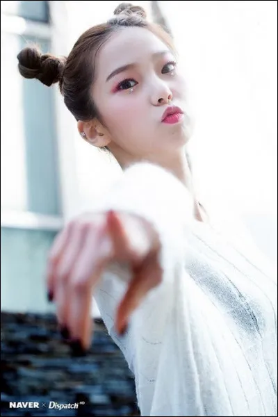 Yujin fait partie des...