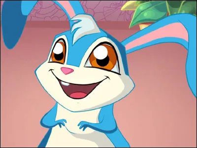 Comment se nomme le lapin de Bloom ?