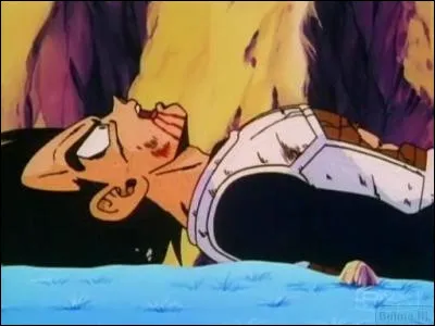 Comment Freezer tue-il Végéta ?