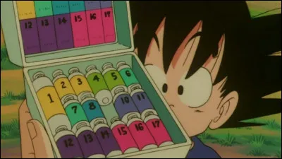 Comment se nomment les capsules magiques qui permettent de contenir toutes sortes d'objets ?