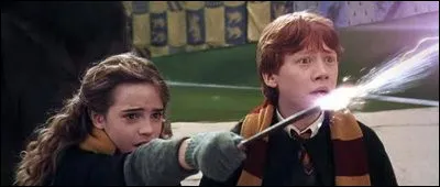 Finite Incantatem permet de...