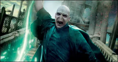Pourquoi Harry survit-il contre Voldemort quand il lui lance le sortilège de la mort ?(Dans les Reliques de la mort 2e partie)