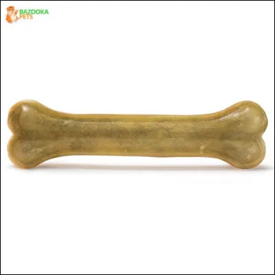 Combien d'os (environ) a un chien de taille moyenne ?