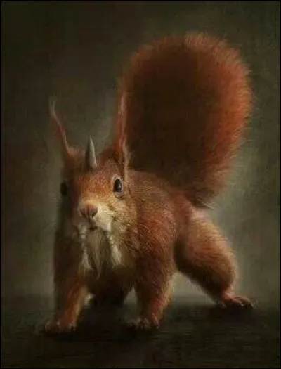 Quel est le rôle de Ratatosk ?