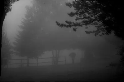 Qu'est-ce qu'un/que rå ?