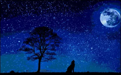 Que sont les maras ?