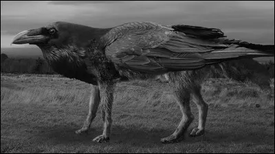 Quel est le rôle du Valraven ?