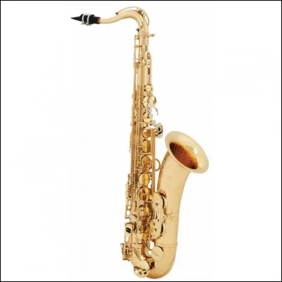 Dites-moi dans quelle famille est le saxophone.