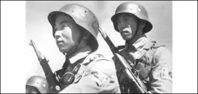 Que faisaient les Japonais pour ne pas se faire emprisonner par les Américains ?