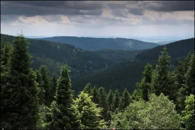 Celui-ci, vous pourrez le déguster en Allemagne, juste avec des cerises dessus (dedans aussi). Est-ce que ça vous tente ?