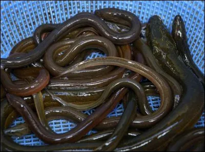 Trouvez la mer suggérée par la photo !