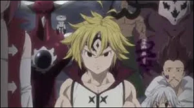 Quel était le commandement de Meliodas ?
