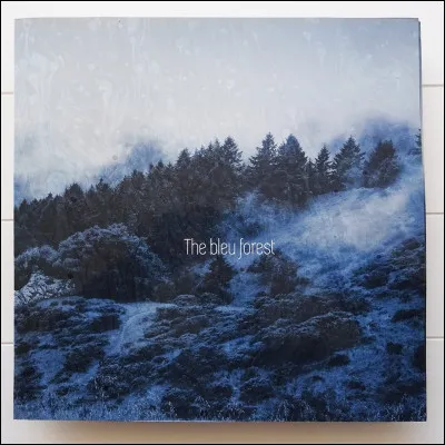 Qui accompagne Tom Cruise dans le film "Rain Man" ?