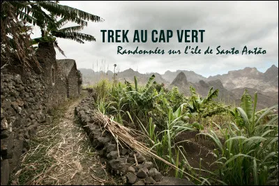 En jardinage, à quoi sert une grelinette ?