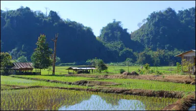Comment nomme-t-on cette région d'Asie du sud-est située aux frontières du Laos, de la Birmanie et de la Thaïlande ?