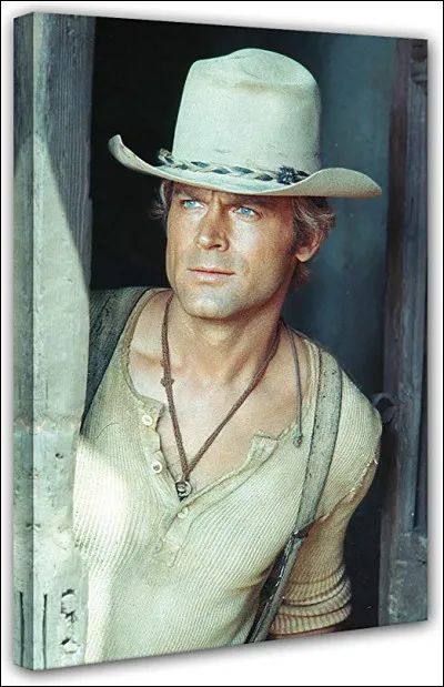Qui partageait l'affiche avec Terence Hill dans le film "Mon nom est Personne" ?