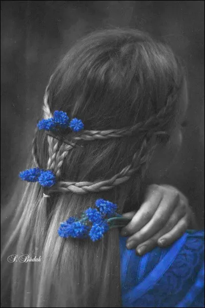 De quelle chanson de Françoise Hardy sont extraites les paroles "Oui mais moi, je vais seule, car personne ne m'aime" ?