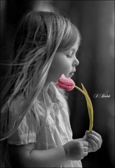 Comment se traduit "Personne" en anglais, dans la phrase "personne ne m'aime" ?