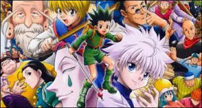 &Agrave; votre avis, quel personnage ne vient pas de l'univers d' Hunter x Hunter ?