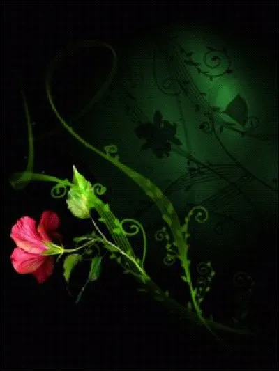 Quelle est ta couleur préférée ?