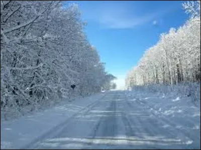 La neige réduit l'adhérence du véhicule sur la route.